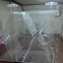 아크릴수조